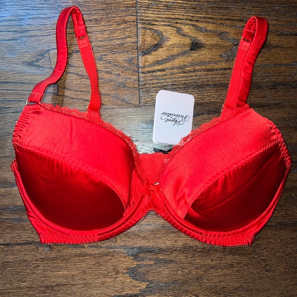 NWT Agent Provocateur Felinda Red Silk Bra, 32DD - Picture 2 of 11